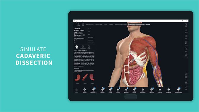 3d4medical app anatomy