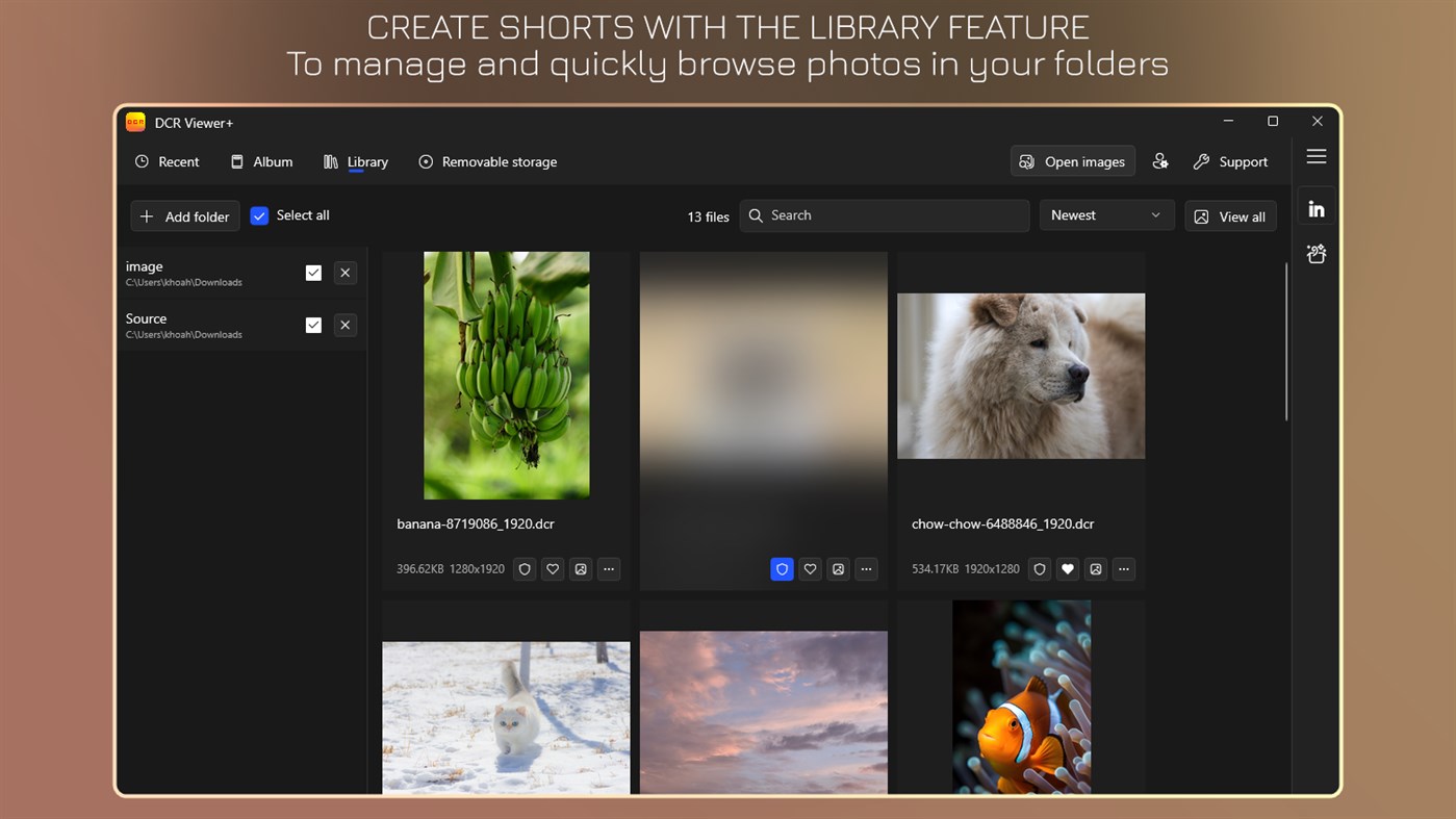 #4. DCR Viewer+ - DCR to JPG (Windows) By: IO Vision