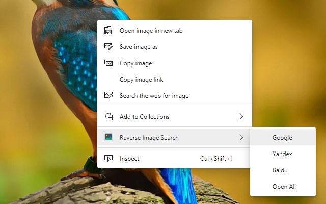 Reverse Image Search