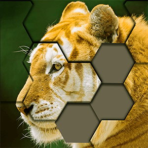 Descargar Jigsaw Hexa Puzzle - Block Puzzle Game