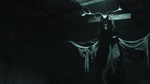 Fear The Timeloop Codes