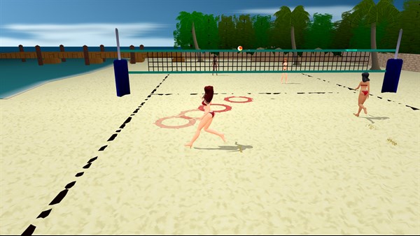 Volleyball Tournament in Paradise — 1