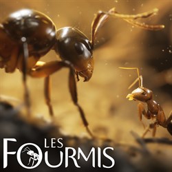 Les Fourmis