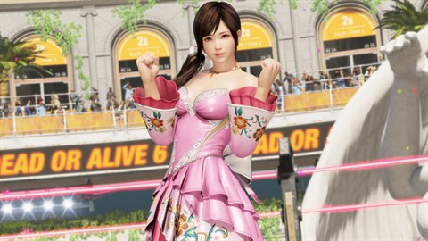 DOA6LR こころ 「Harmonieuse／情趣」