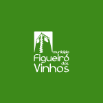 Município de Figueiró dos Vinhos