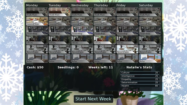 Flower Shop: Winter In Fairbrook screenshot 2