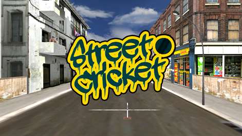 Street Cricket Screenshots 1
