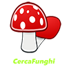 CercaFunghi