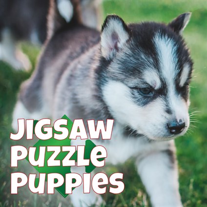 Puppies Jigsaw Puzzles