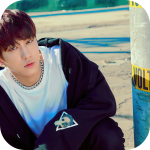 Stray Kids themed 4K wallpaper HomePage icon