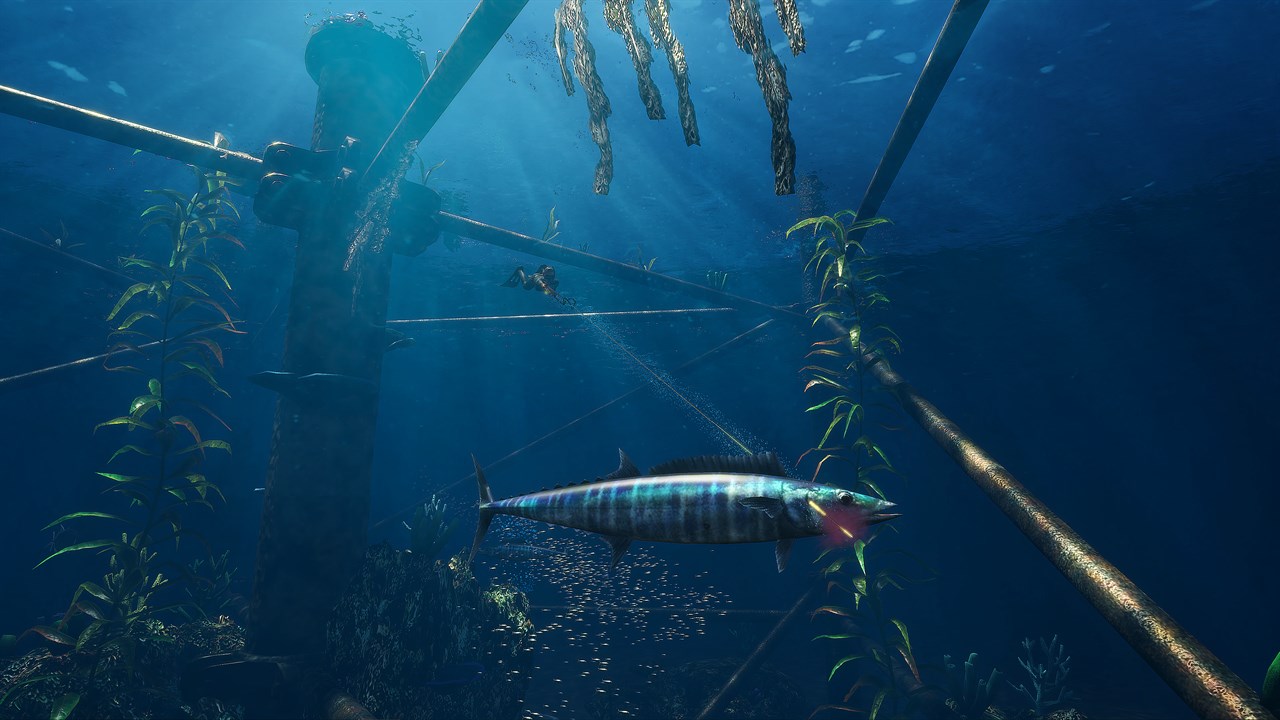 Freediving Hunter: Spearfishing the World screenshot 2