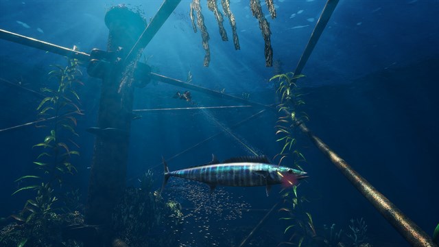 Freediving Hunter: Spearfishing the World screenshot 2