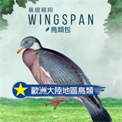 沒有可用的標題