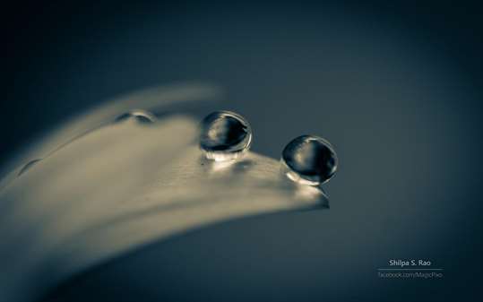 Liquid Jewels 2 by Shilpa S Rao screenshot 3