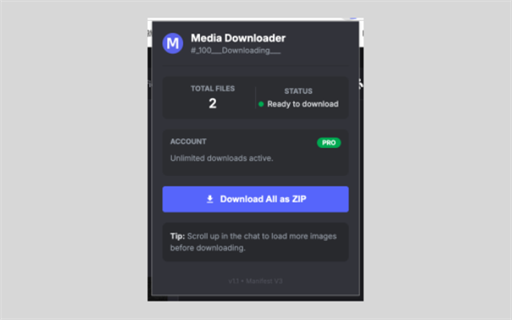 Discord Media Downloader