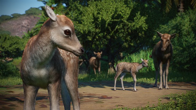 Planet Zoo: Asia Animal Pack screenshot 1
