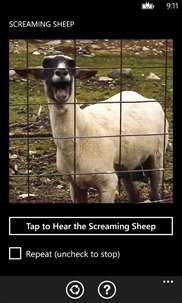 Screaming Sheep screenshot 1