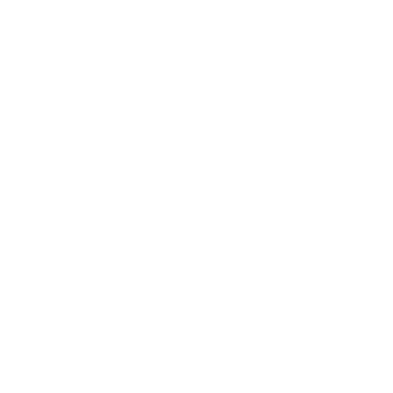 Project Timeline
