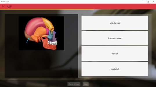 Dental Expert screenshot 5