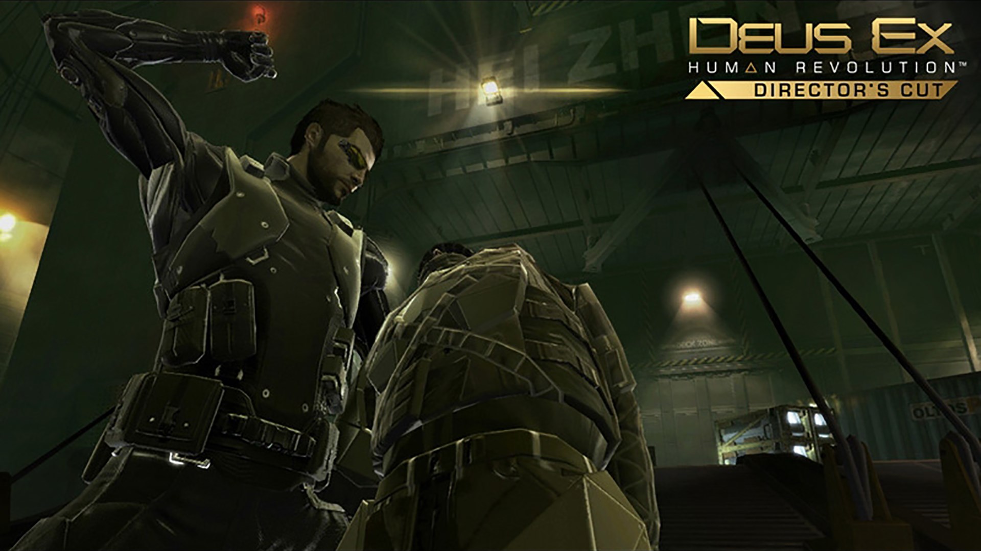 Deus ex game of the year edition русификатор steam текст фото 38