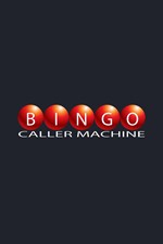 Bingo calling software