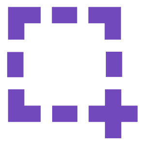 Page Screenshot icon