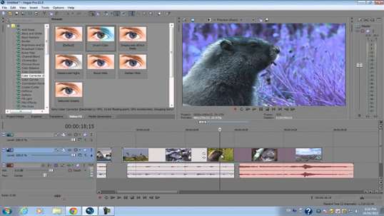 A Guide To Mastering Sony Vegas screenshot 4