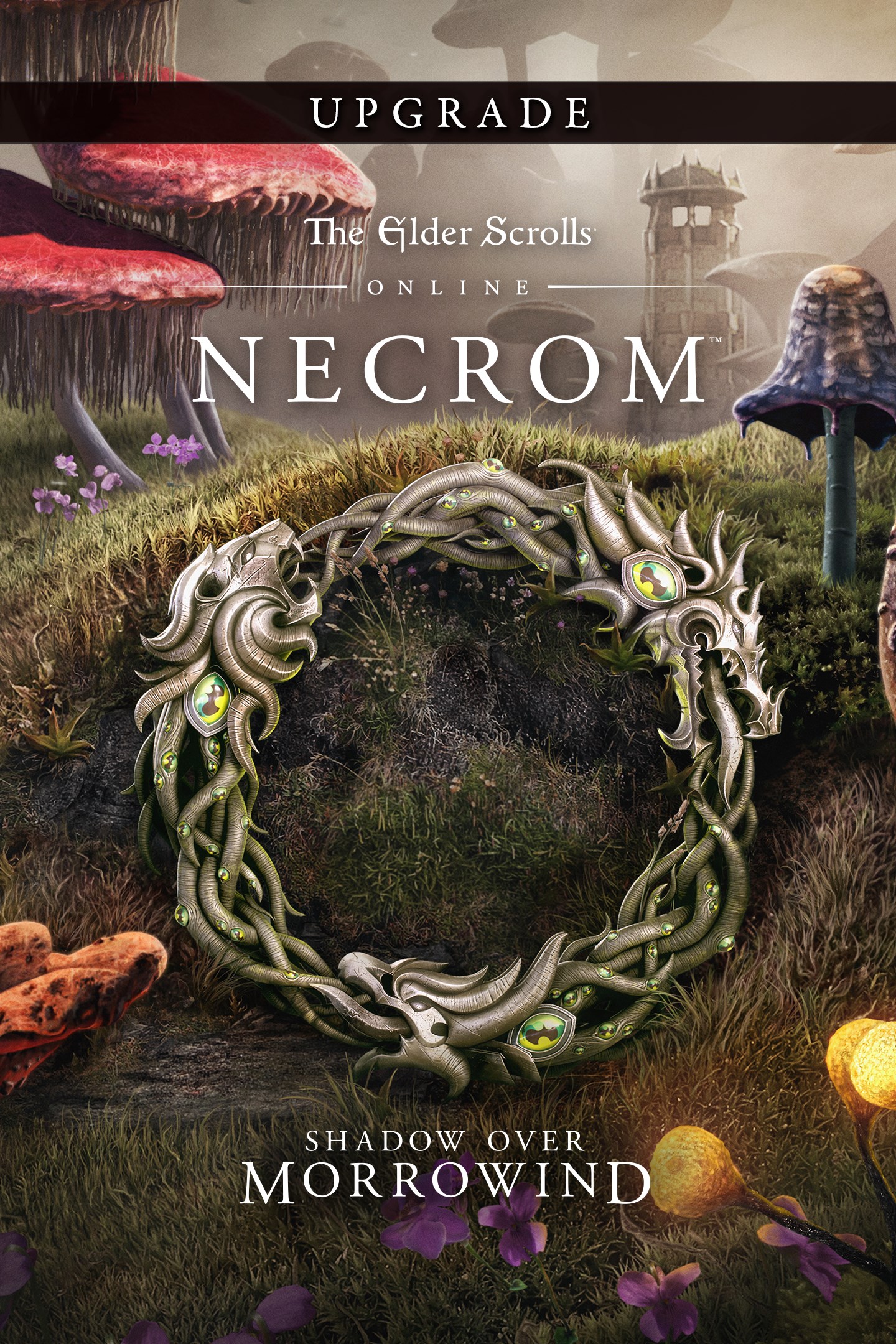 The Elder Scrolls Online: Necrom Upgrade (Add On) — official Xbox artwork