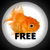 Download FishEYE Camera FREE