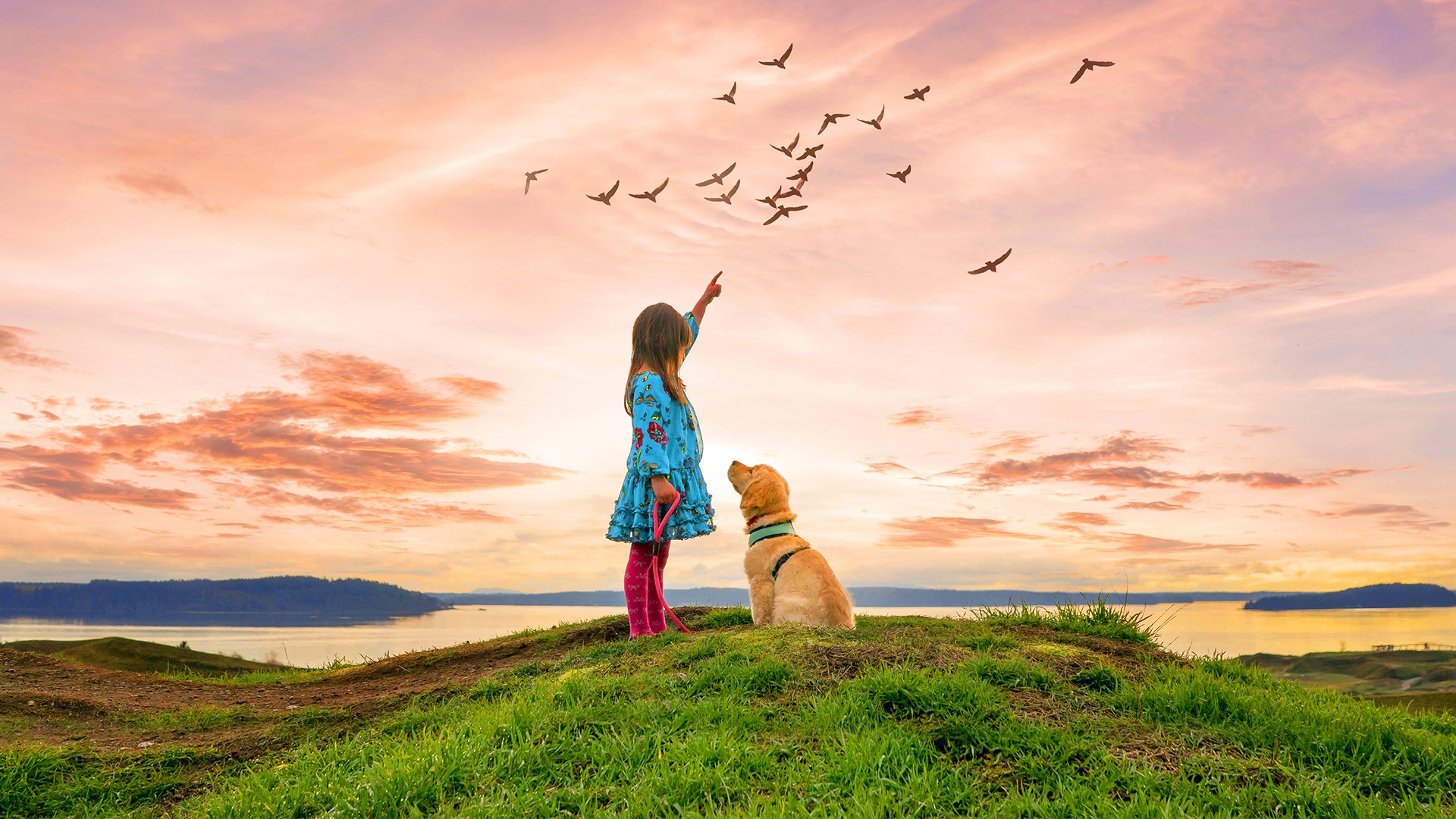 New Adobe Photoshop Elements 2021 - Save 40%