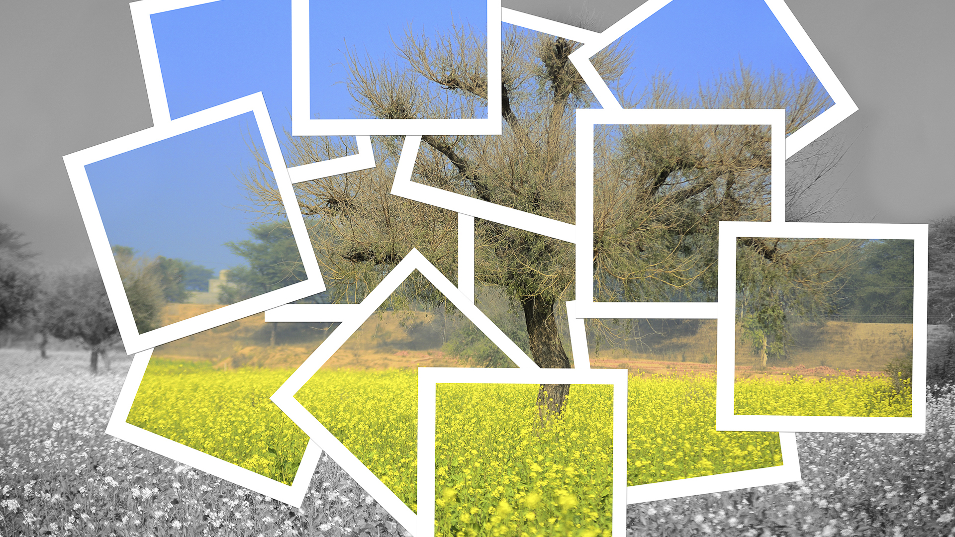 Picture perfect photos