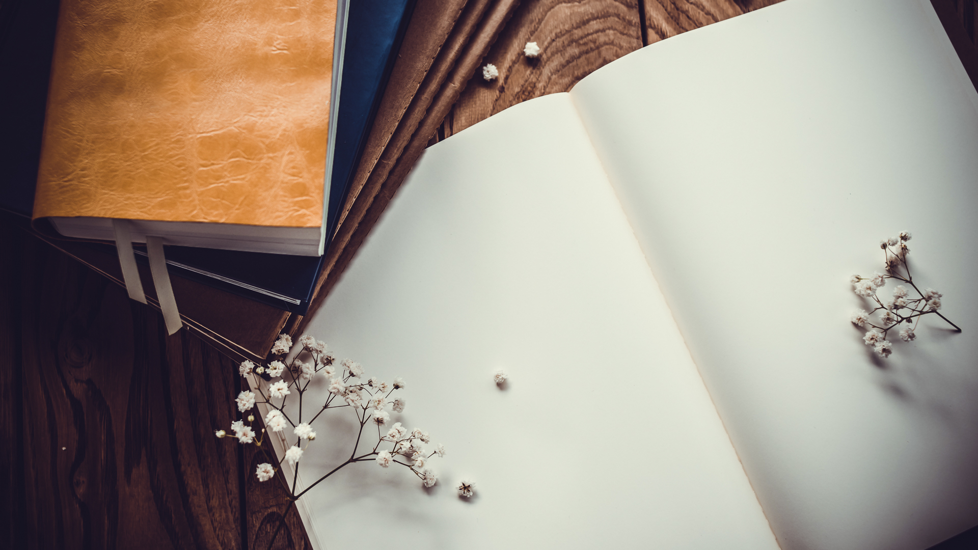 Diarium — Private Diary / Daily Journal