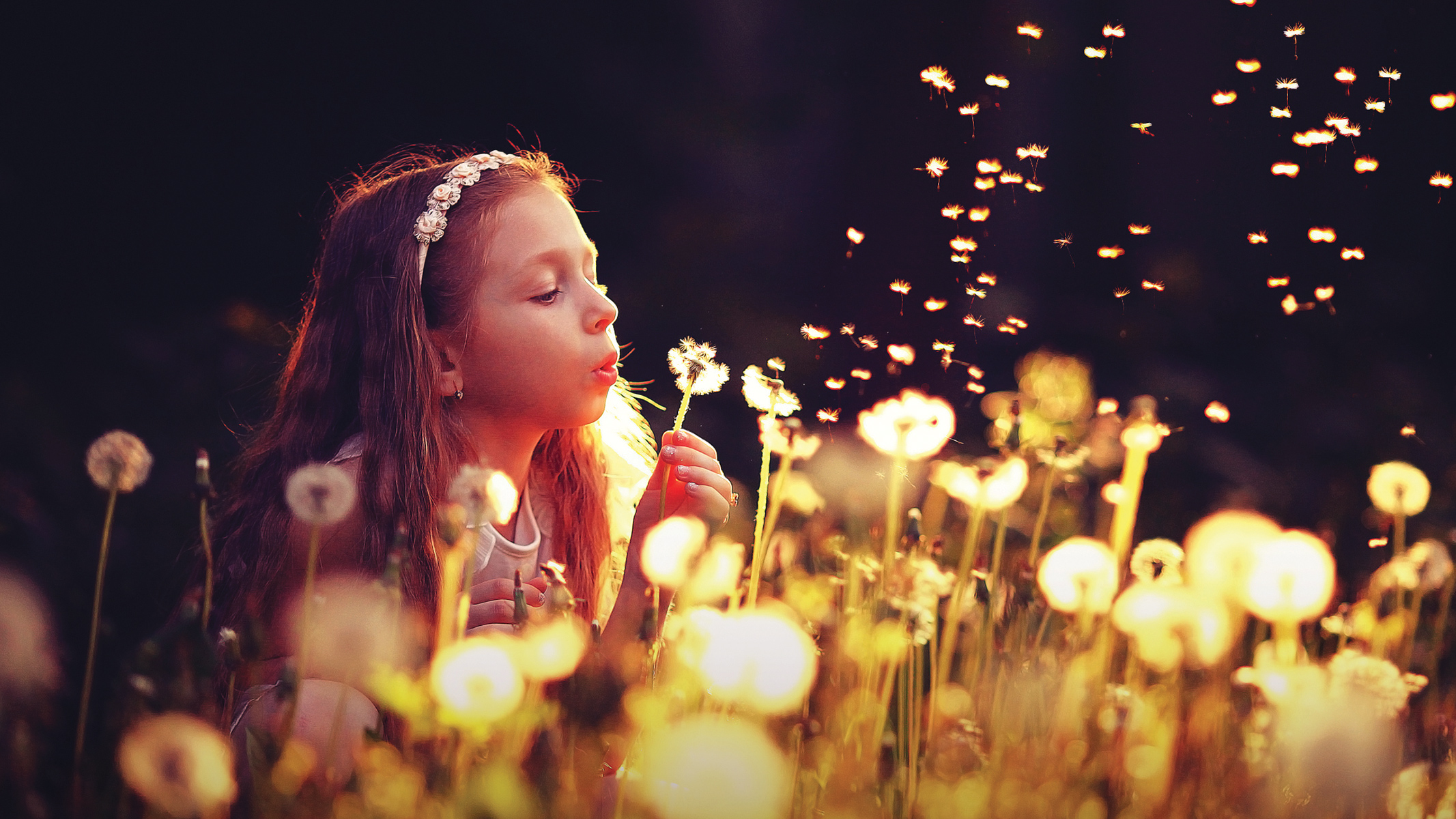 Adobe Photoshop Elements 15