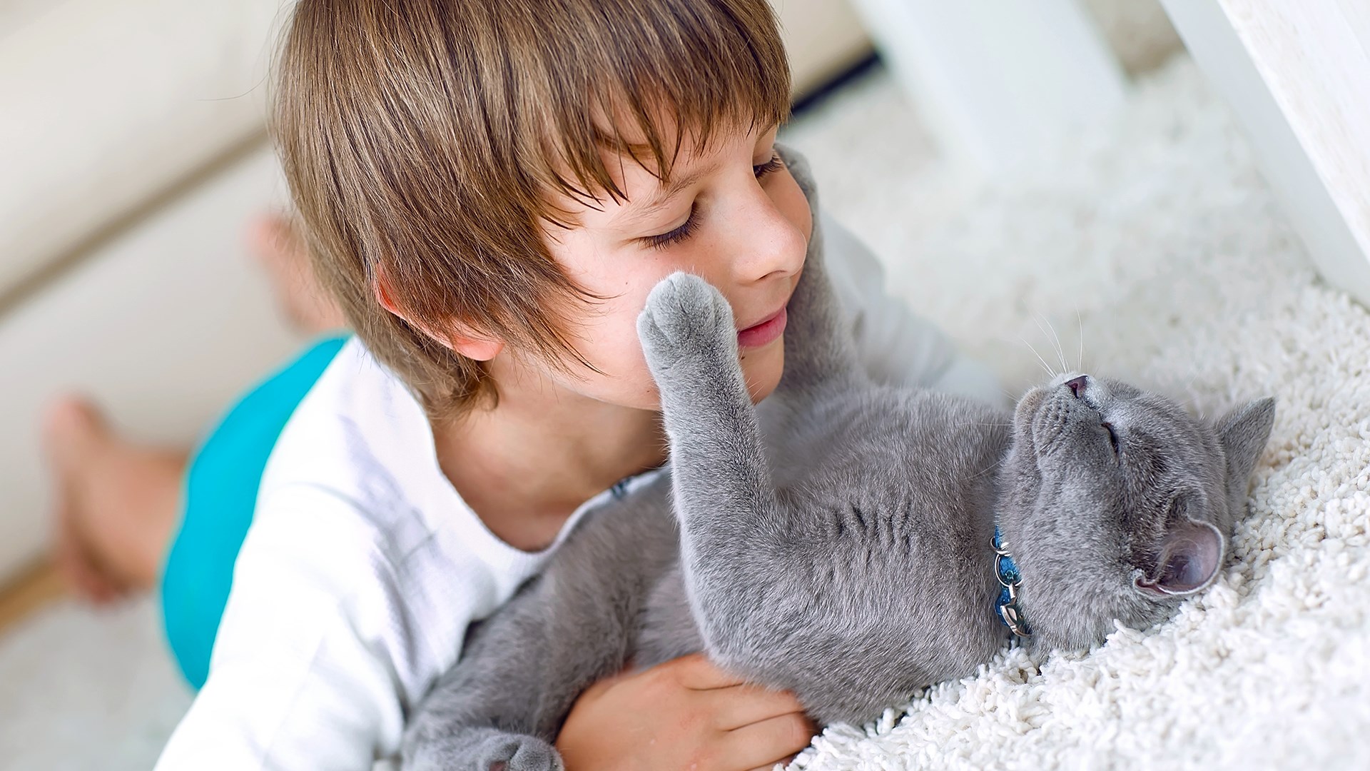 Adobe Photoshop Elements 2020